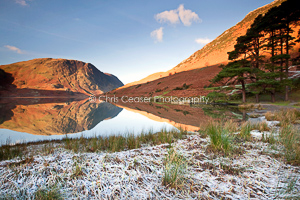 Frosted Shoreline, Crummock Water