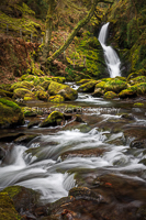 Cascade, Dolgoch Falls