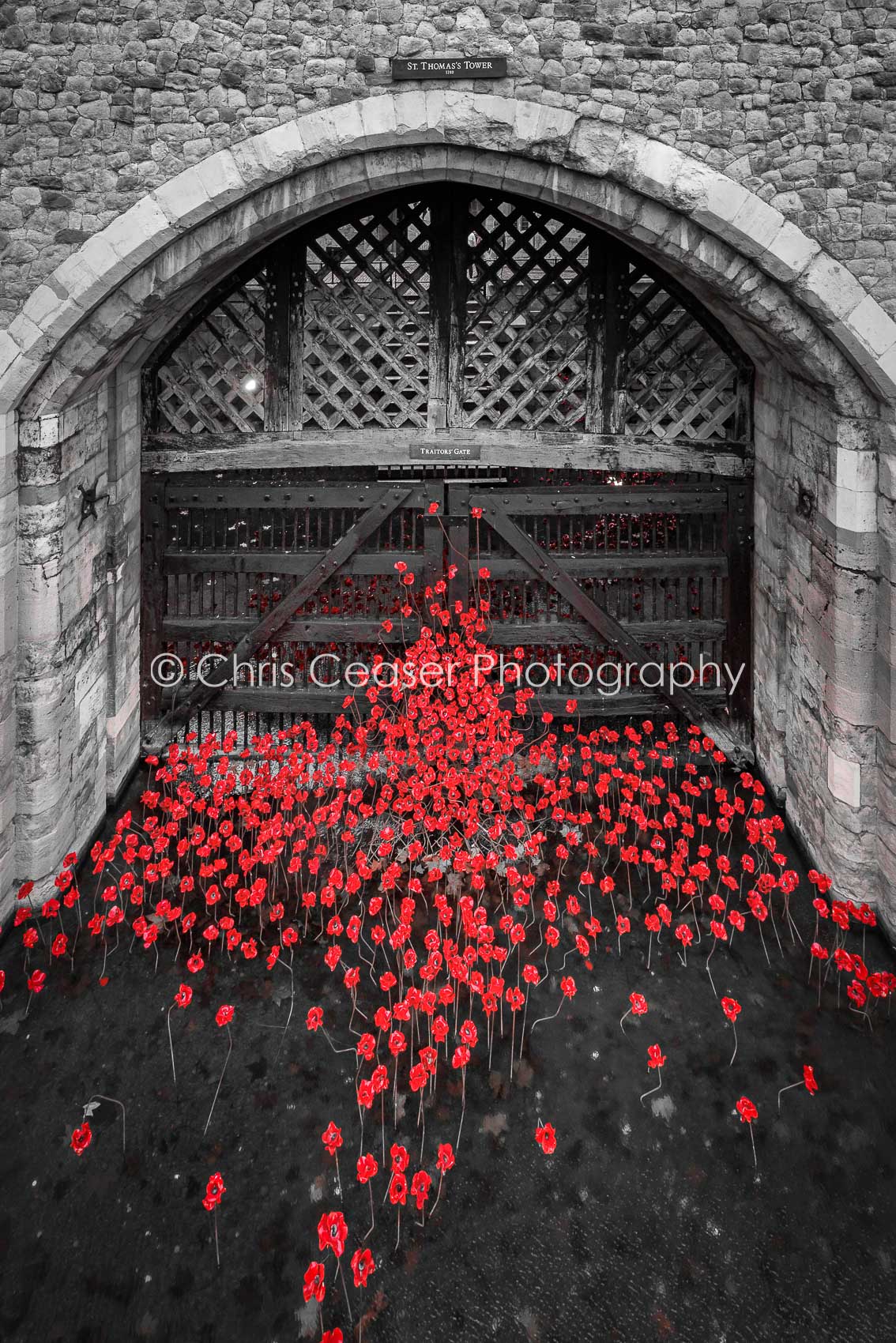 Red Poppies, Traitor's Gate